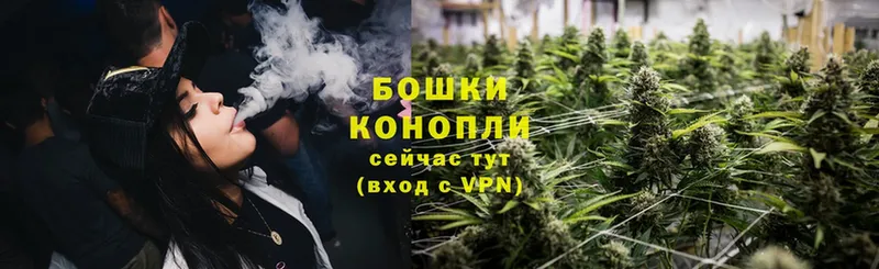 МАРИХУАНА THC 21%  сколько стоит  Венёв 